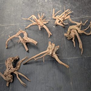 Malaysian driftwood