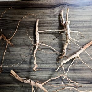 Detailing Wood – 100gms