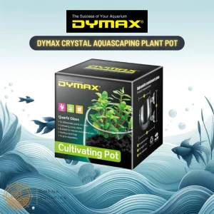 DYMAX Crystal Cultivating Pot - Elegant Plant Holder for Aquascaping and Planted Tanks