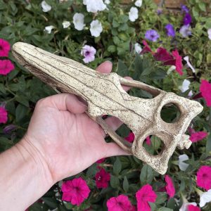 Raptor Skull Resin Ornament - Large