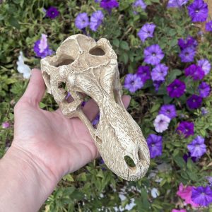 T-Rex Skull Resin Ornament - Large