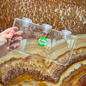 Acrylic Suction Shelf