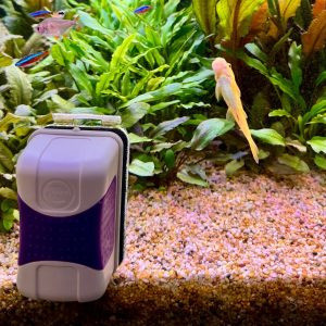 Magnetic Aquarium Glass Cleaner Large