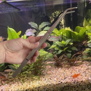Aquascaping Tweezers Angled-tip 30cm
