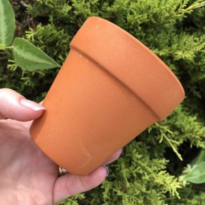 Bare Terracotta Pot 9cm
